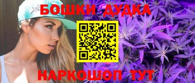 прущие крисы Кингисепп