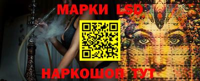 прущие крисы Кингисепп