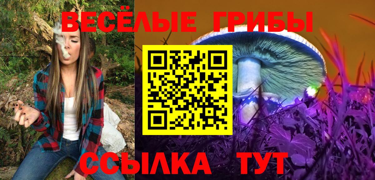 Галлюциногенные грибы GOLDEN TEACHER  где купить наркоту  Калининград  Вход с VPN 